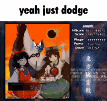 Average Touhou boss battle experience dodging